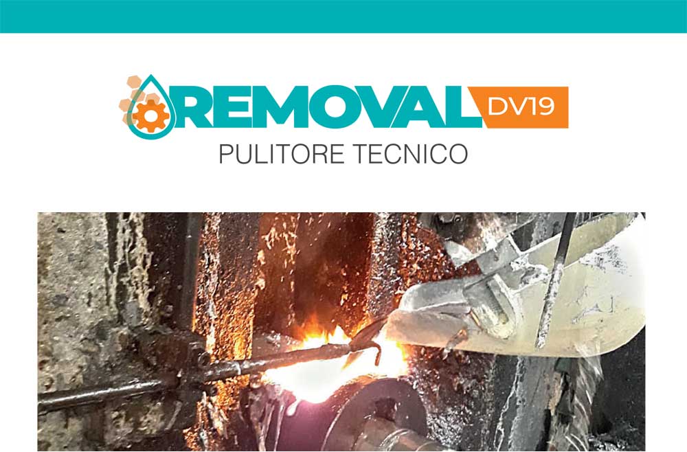 REMOVAL DV 19 - PULITORE INDUSTRIALE